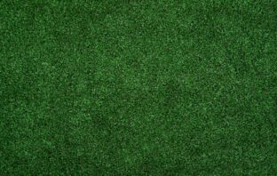 green på golfbane
